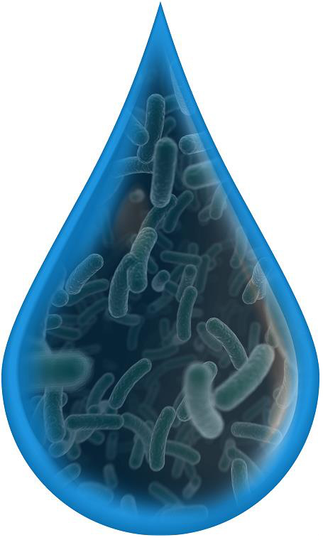 Bakterie i wirusy w wodzie