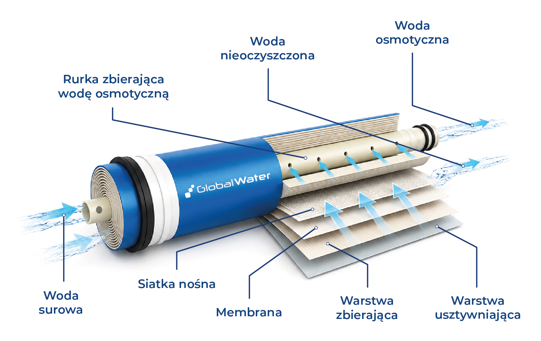 Zasada pracy membrany osmotycznej Global Water