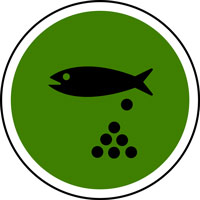 Prowokowanie tarła u rybek - korzystaj z wody RO do zmiany parametrów